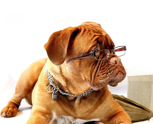 Meldegesetz - Mieter - Vermieter